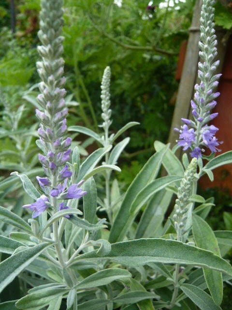 c0112206_22473834.jpg