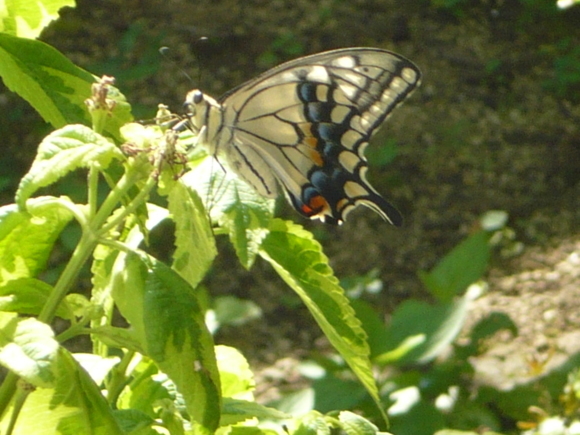 a0139007_13095344.jpg