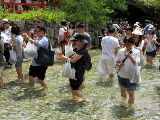 下鴨神社 みたらし祭り_e0048413_1617821.jpg