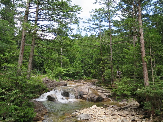c0192215_9362282.jpg