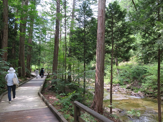 c0192215_9431085.jpg