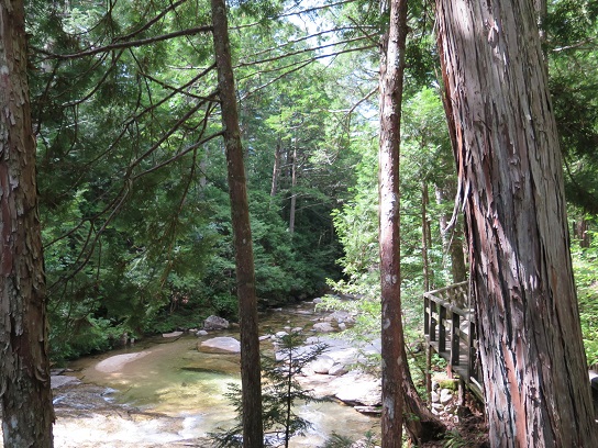 c0192215_9471176.jpg