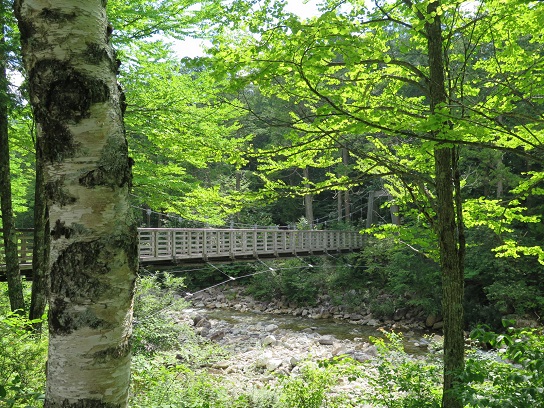 c0192215_959588.jpg