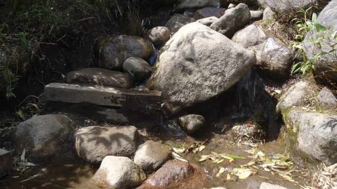 b0057924_21154935.jpg