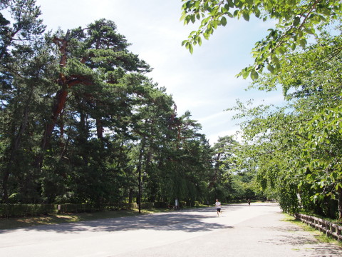 b0147224_18162015.jpg