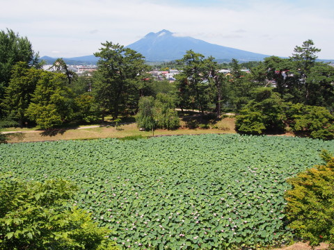 b0147224_18252510.jpg