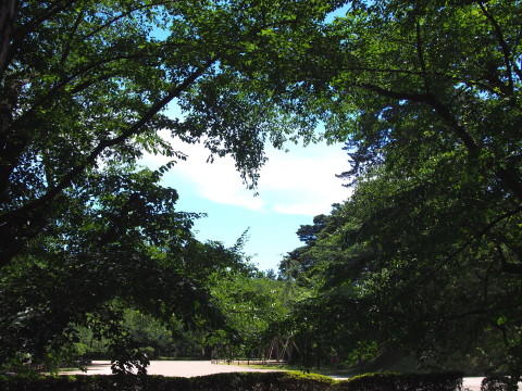 b0147224_18351754.jpg