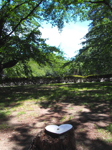 b0147224_1836471.jpg