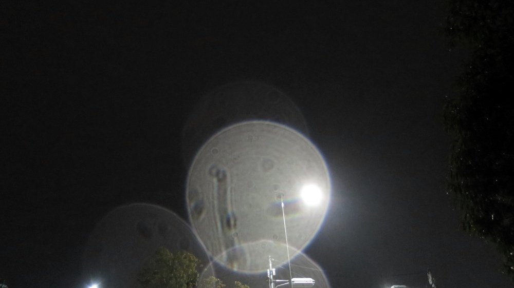 c0331825_18344142.jpg