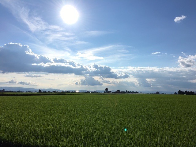 フォトふれブログ二日目スタート!_b0187229_1654395.jpg