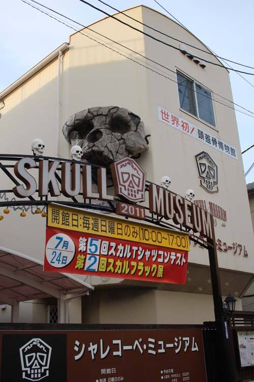シャレコーべミュージアム 第5回 スカルTシャツコンテスト_a0093332_884022.jpg