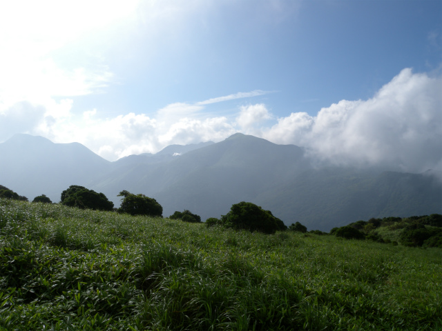 黒岩山＆大崩の辻＆上泉水山＆下泉水山を歩く！_e0272335_209036.jpg