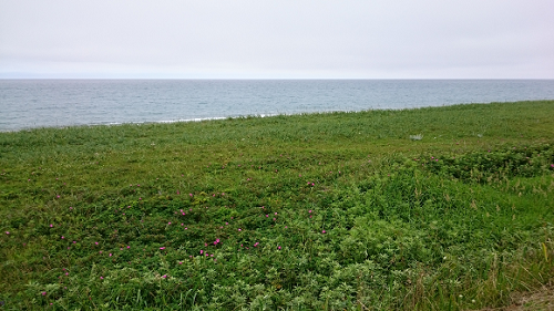d0032736_15182072.png