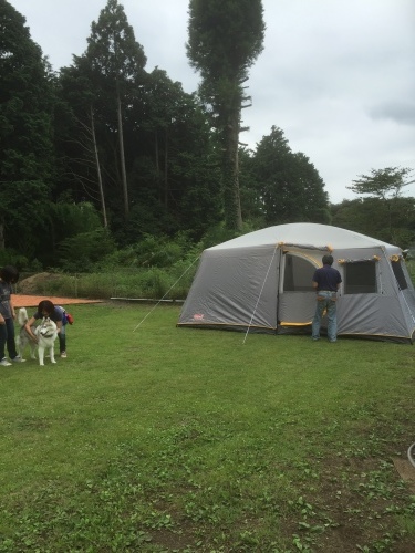 b0369239_15223637.jpeg