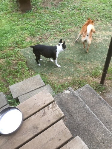 b0369239_15233381.jpeg