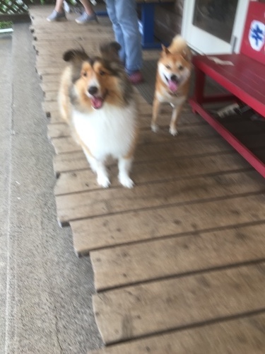 b0369239_15234847.jpeg
