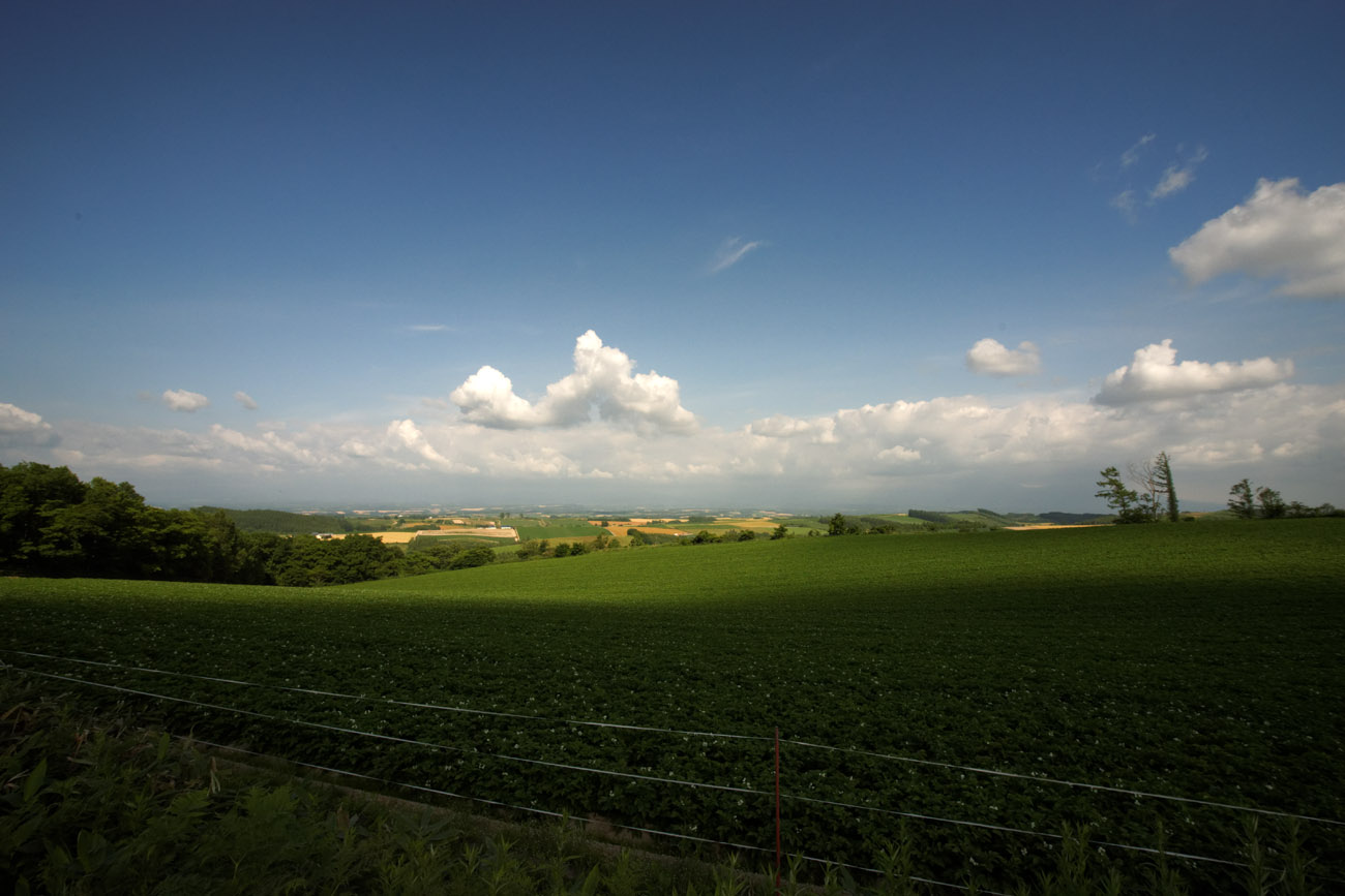 f0080743_17534035.jpg