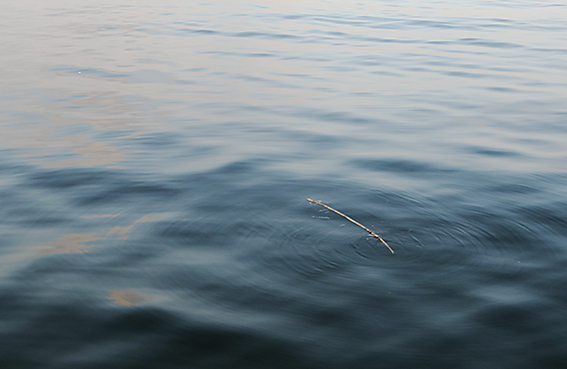 f0161647_15275097.jpg