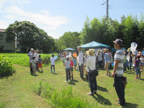セミの観察_f0079749_1533331.jpg