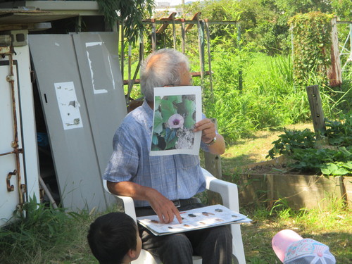 セミの観察_f0079749_15395739.jpg