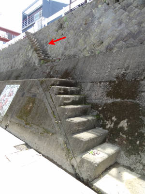 e0033751_1224053.jpg