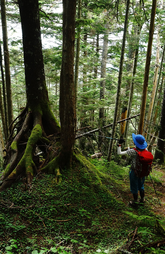 海の日連休Day 2　越百山～南駒ヶ岳～空木岳編_f0016656_2123396.jpg