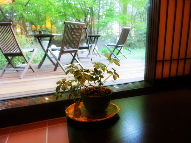 f0236260_344324.jpg