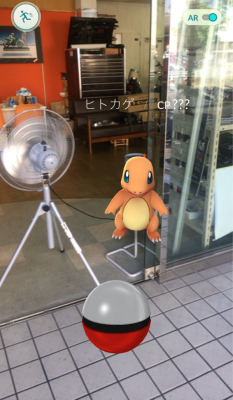 ポケモン4匹ゲットだぜ（笑）_d0246961_06211665.jpg