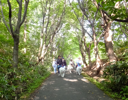 b0102267_11295811.png
