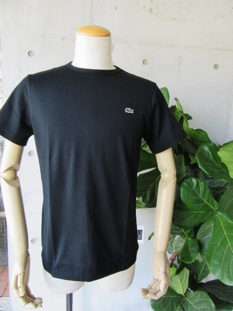 今夏の人気者★ LACOSTE ・・・ SOLID CRUE TEE 、最終・再入荷!★!_d0152280_19271467.jpg