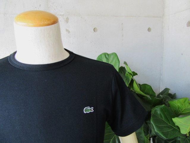今夏の人気者★ LACOSTE ・・・ SOLID CRUE TEE 、最終・再入荷!★!_d0152280_19272646.jpg