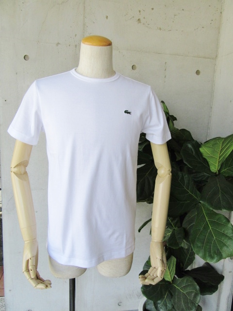 今夏の人気者★ LACOSTE ・・・ SOLID CRUE TEE 、最終・再入荷!★!_d0152280_19292111.jpg