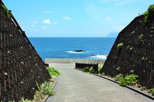 坪田・長太郎池あたり_c0204385_16474521.jpg