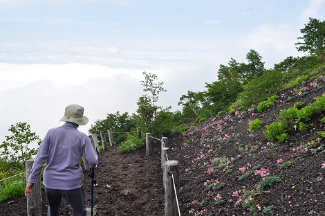 岩手山(馬返し～焼走り)_c0034391_23373575.jpg