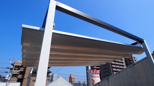 e0064493_962521.jpg