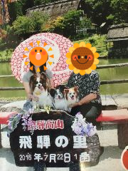 b0237894_2124978.png