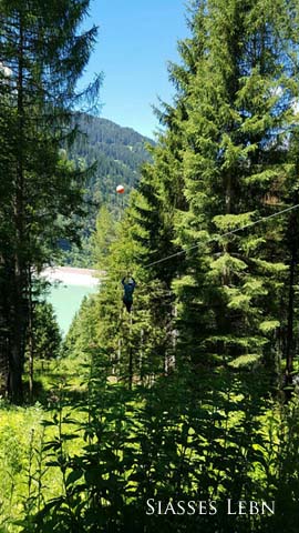 e0088895_7502829.jpg