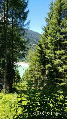 e0088895_7513354.jpg