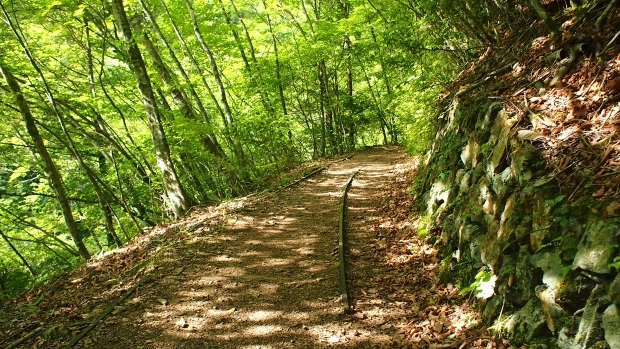 e0124597_20015197.jpg