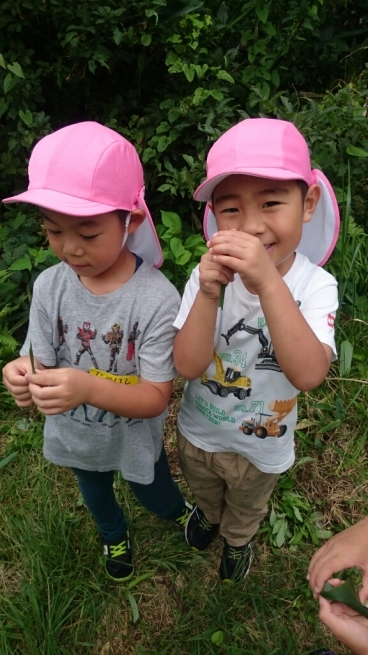 朝!_c0212598_10083148.jpg