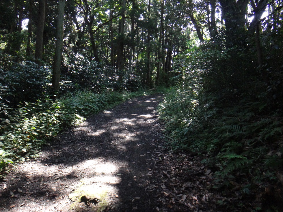 b0092300_23244241.jpg