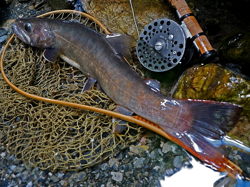 c0339900_20194157.jpg
