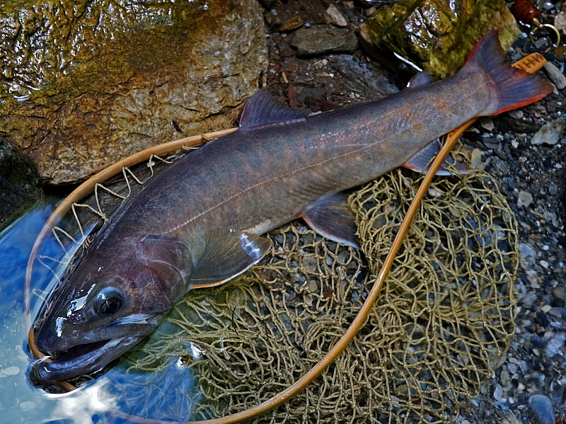 c0339900_2019522.jpg