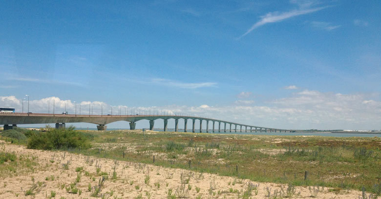 a0060003_23033670.jpg