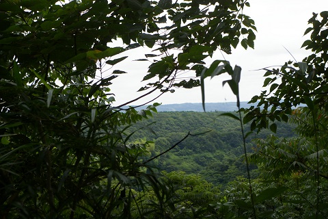 b0275715_2102769.jpg
