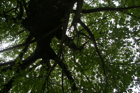 b0275715_2192974.jpg
