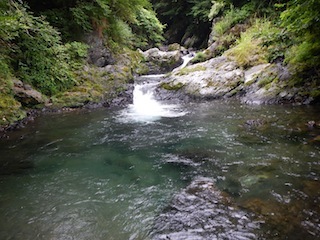 恐いもの見たさのカゴカケ谷…蕎麦粒山_c0359615_21075231.jpg