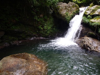 c0359615_21081669.jpg