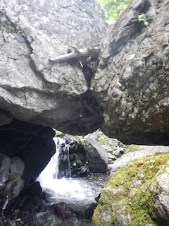 c0359615_21082721.jpg