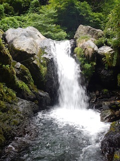 恐いもの見たさのカゴカケ谷…蕎麦粒山_c0359615_21084152.jpg